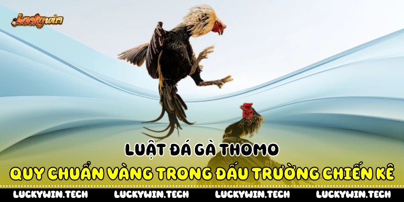 Luật Đá Gà Thomo - Quy Chuẩn Vàng Trong Đấu Trường Chiến Kê