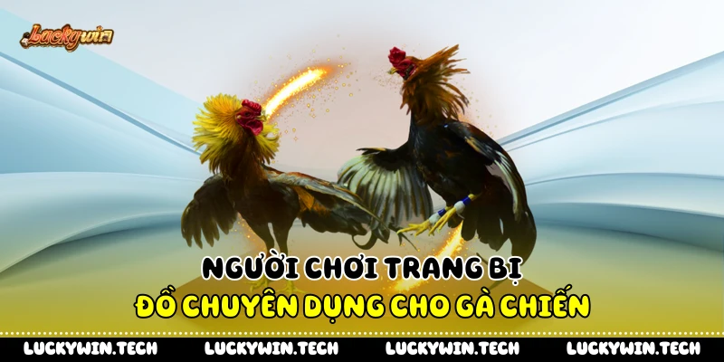 Người chơi trang bị đồ chuyên dụng cho gà chiến